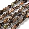 Natural Ocean Jasper Beads Strands G-P497-01E-76-1