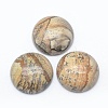 Natural Picture Jasper Cabochons G-E492-A-10-1