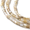 Natural Freshwater Shell Beads Strands X-SSHEL-B002-17-3