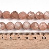 Natural Sunstone Beads Strands G-S345-10mm-23-5