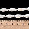 Natural Freshwater Shell Beads Strands SSHEL-B002-16-4