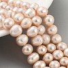 Natural Cultured Freshwater Pearl Beads Strands PEAR-C003-19B-2