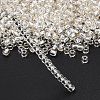 TOHO 8/0 Round Beads SEED-XTR08-0021-4