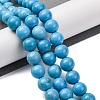 Dyed Natural Magnesite Beads Strands G-P558-A01-01A-2