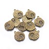 Tibetan Style Alloy Pendants LS-TIBEP-A14120-AB-FF-1