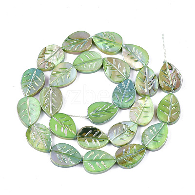 Freshwater Shell Beads Strands SHEL-S274-61B-1
