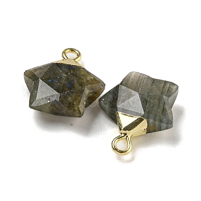 Natural Labradorite Pendants G-P540-01G-06-1