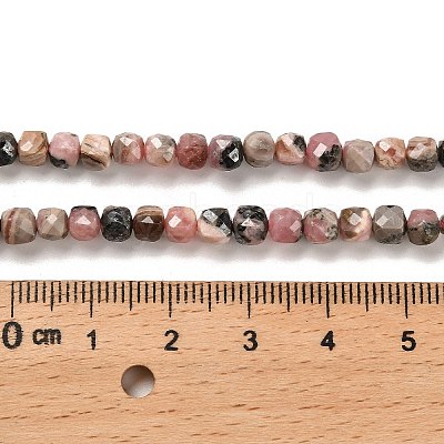 Natural Argentina Rhodonite Beads Strands G-B107-B01-01-1