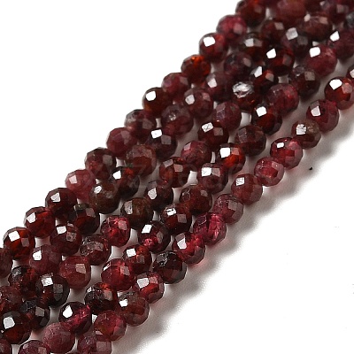 Natural Garnet Beads Strands G-I341-09B-1