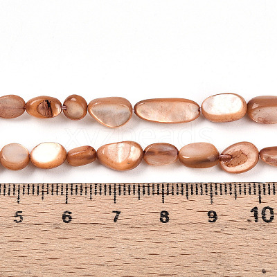 Natural White Shell Beads Strands SHEL-N036-21E-1