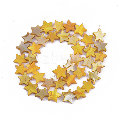 Freshwater Shell Beads Strands SHEL-S276-31-1