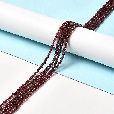 Natural Garnet Beads Strands G-I341-09B-1