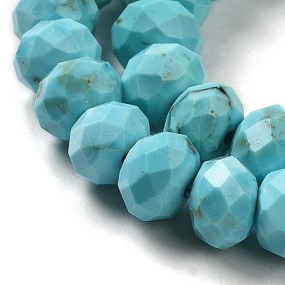 Dyed Natural Howlite Beads Strands G-G023-A01-01A-1