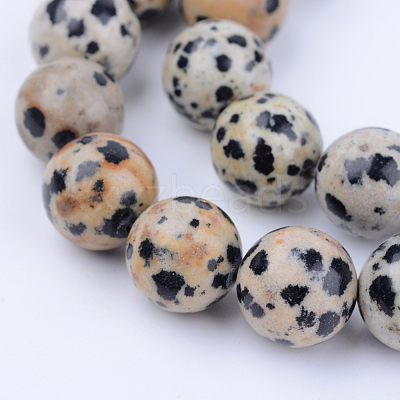 Natural Dalmatian Jasper Beads Strands X-G-Q462-8mm-30-1