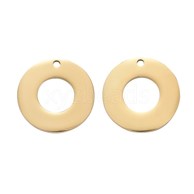 304 Stainless Steel Pendants STAS-I140-08G-1