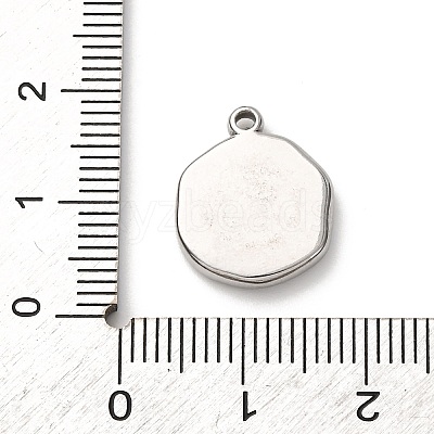 304 Stainless Steel Pendants STAS-I348-02P-01-1