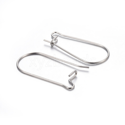 Tarnish Resistant 304 Stainless Steel Hoop Earring Findings STAS-P223-01P-02-1