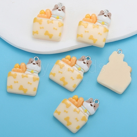 Cartoon Animal Resin Pendants PW-WG1B5D1-02-1