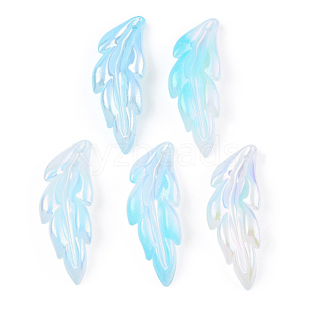 Transparent Acrylic Pendants TACR-TAC0005-03B-1