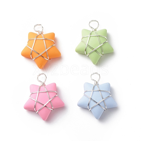 Opaque Resin Pendants PALLOY-JF01849-02-1