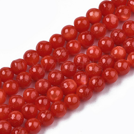 Natural Freshwater Shell Beads Strands X-SHEL-N003-24-B05-1