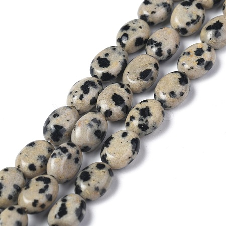 Natural Dalmatian Jasper Beads Strands G-Z006-A31-1