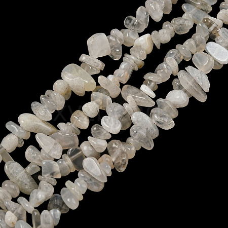 Natural Moonstone Beads Strands G-G0003-B42-1