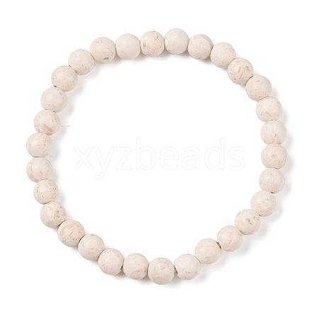 Natural Fossil Round Beaded Stretch Bracelets G-U005-01A-01-1