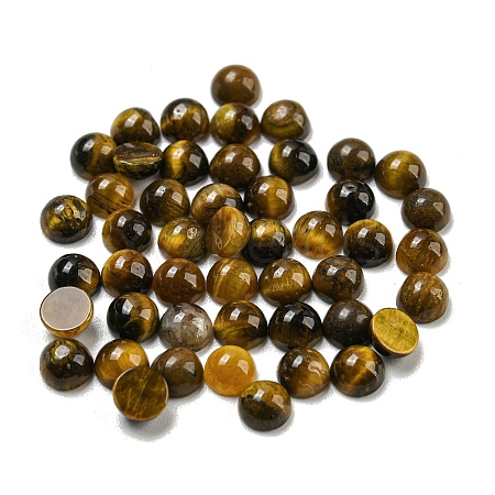 Natural Tiger Eye Cabochons G-H309-03-40-1