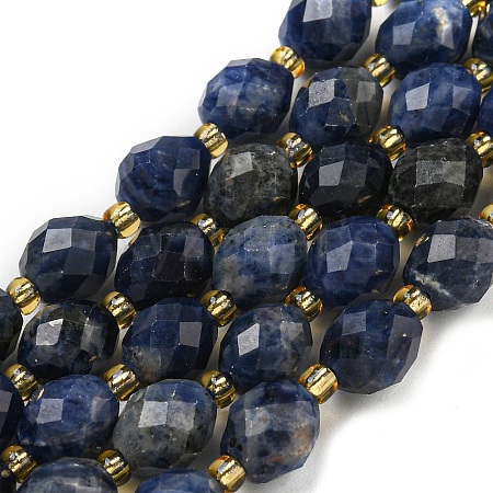 Natural Sodalite Beads Strands G-N342-57-1