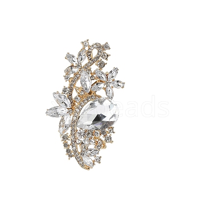 Alloy and Glass Rhinestone Brooch PW-WGC0DFD-08-1