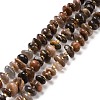 Natural Black Sunstone Beads Strands G-D480-A03-1