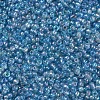 12/0 Glass Seed Beads X1-SEED-A007-2mm-163-2