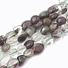 Natural Green Lodolite Quartz/Garden Quartz Beads Strands G-S331-6x8-006-1