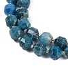 Natural Apatite Beads Strands G-O201B-146H-3