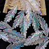 AB Color Transparent Acrylic Pendants TACR-YW0003-09-1