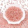 6/0 Baking Paint Transparent Glass Seed Beads SEED-N006-06E-2