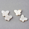 Natural Sea Shell Beads X-SSHEL-Q296-30-1