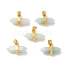 Natural Amazonite Pointed Pendants G-P481-01G-09-1