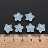 Transparent Acrylic Beads MACR-S373-26E-07-4