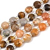 Natural Crazy Agate & Tiger Eye & Red Aventurine & Dyed White Jade & Red Agate Beads Strands G-Z135-B06-2
