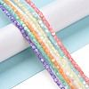 Natural Trochus Shell Beads Strands SSHEL-H070-02-2