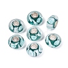 Handmade Lampwork & Brass Core European Beads LAMP-N044-03S-01-1
