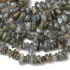 Natural Labradorite Beads Strands X-G-I225-15A-2