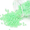 Glass Seed Beads SEED-A011-3mm-144-1