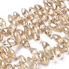 Electroplate Glass Faceted Teardrop Beads Strands EGLA-D014-32-1