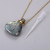 Natural Labradorite Openable Perfume Bottle Pendant Necklaces G-K295-A03-G-3