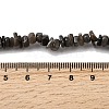 Natural Freshwater Shell Beads SHEL-B003-01J-4