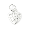 Alloy Charms FIND-H012-04S-1