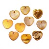 Natural Freshwater Shell Charms SHEL-R113-17I-1